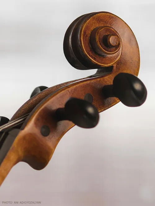 Detail of a violin