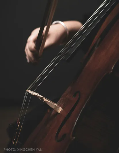 Cellist